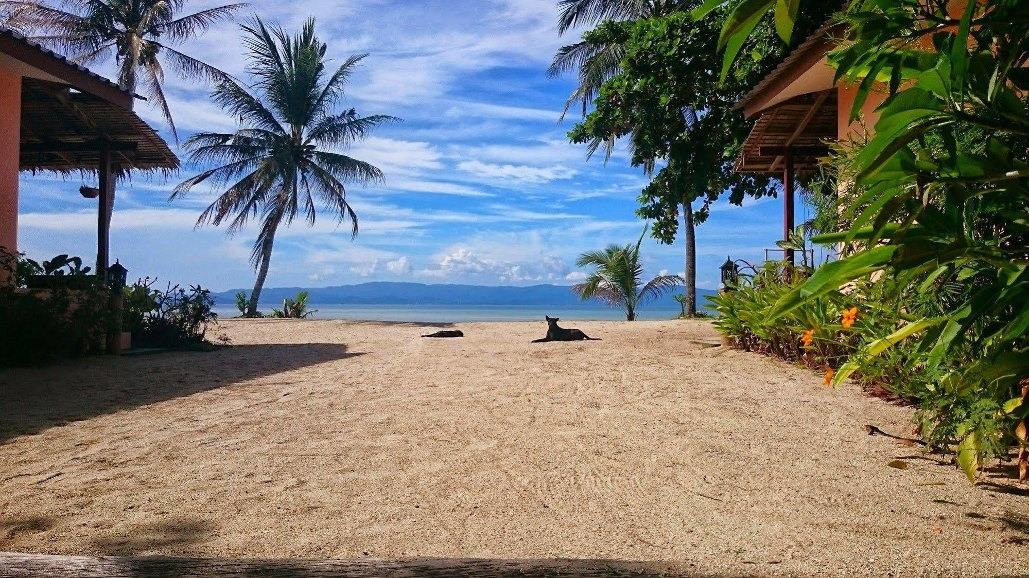 Papillon Bungalows Baan Tai Ngoại thất bức ảnh